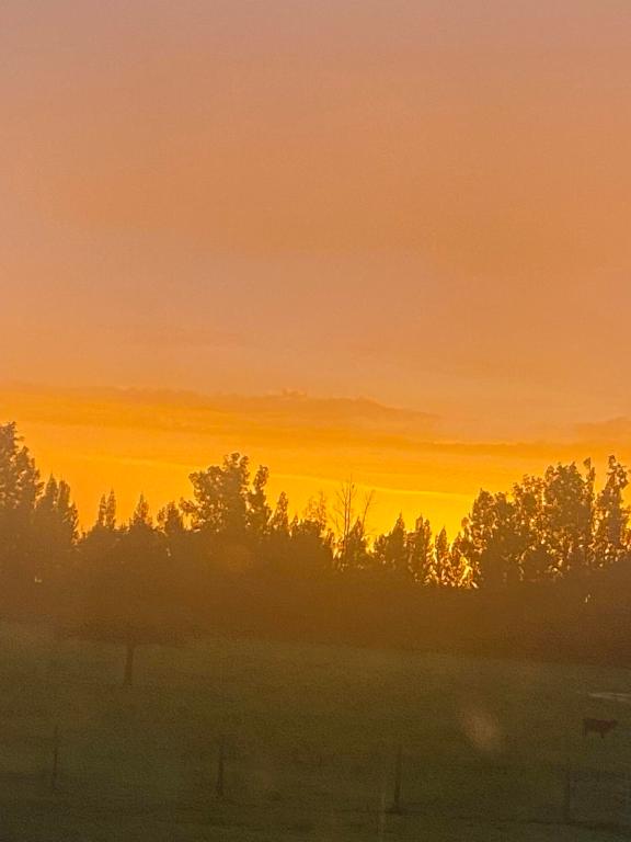 MELLEN GROVES - Residential