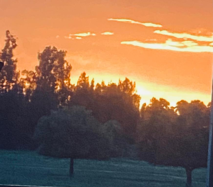 MELLEN GROVES - Residential