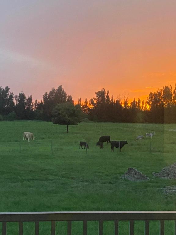 MELLEN GROVES - Residential