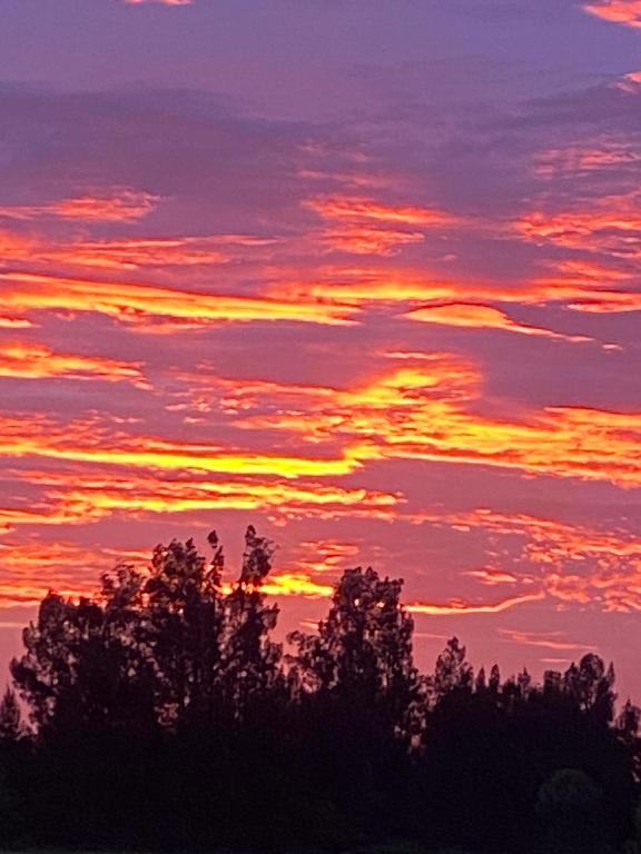 MELLEN GROVES - Residential