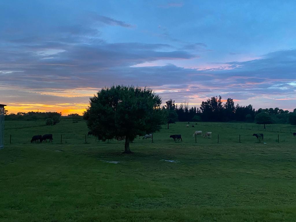 MELLEN GROVES - Residential