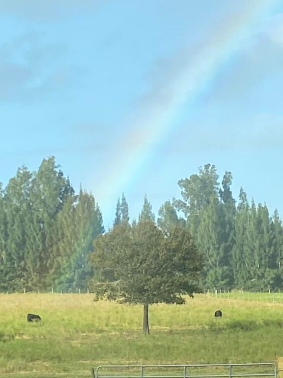 MELLEN GROVES - Residential