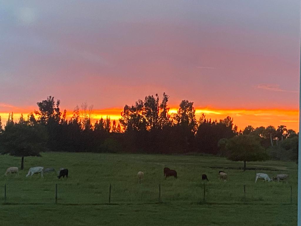 MELLEN GROVES - Residential