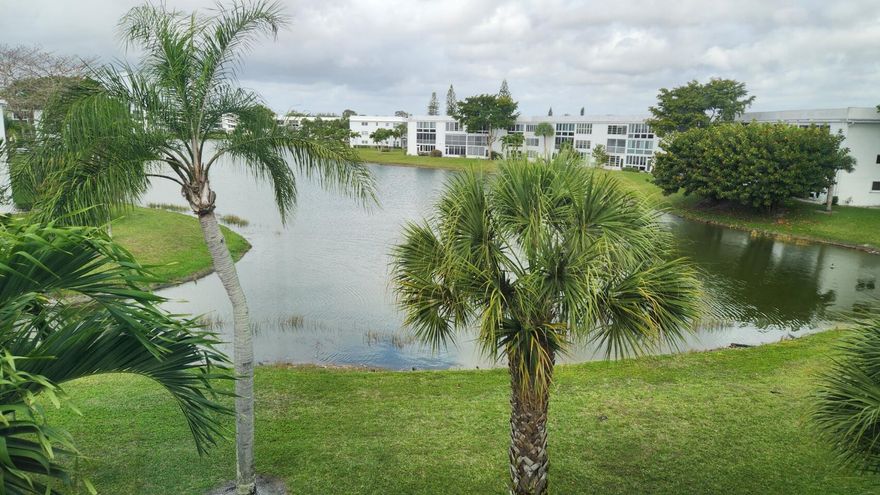 Mostly renovated, One Bedroom on the 3rd Floor of an elevator building! Ready to move in, Priced for quick sale! One Full Bathroom off the bedroom and a Half Bedroom for guests. Large, open Floor plan and tranquil, water views to unwind. Hurry call the agent immediately! The seller says get it sold! Buyer can NOT lease unit at all!  Central AC and Water Heater are recently installed. Buyer and Agent must verify all Info. Information deemed reliable but not guaranteed. Subject to errors.