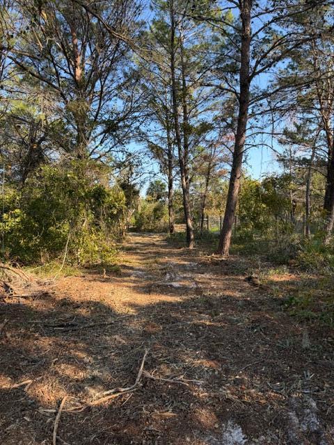 indian River Farms - Land