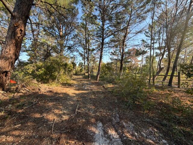 indian River Farms - Land