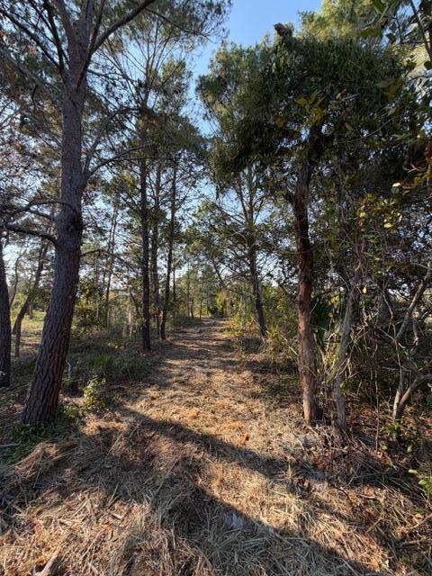 indian River Farms - Land