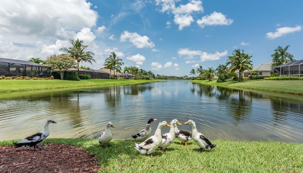 Photo of 900 White Tail Avenue SW, Vero Beach, FL 32968 (MLS # R11122682)