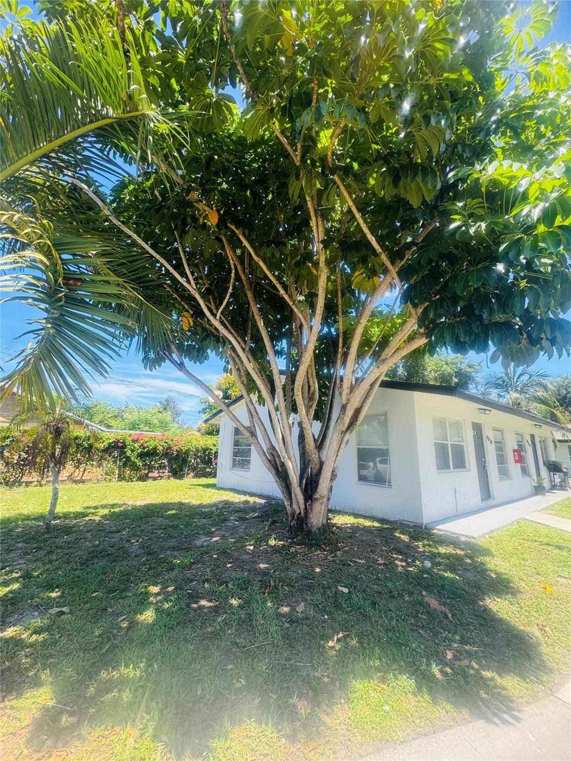 4654 Schall Rd 4654