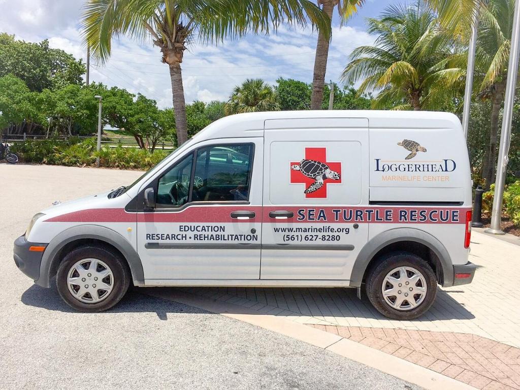 LAKE HARBOUR TOWERS CONDO - Residential