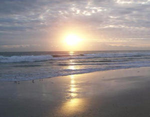 OCEAN VILLAGE - Residential