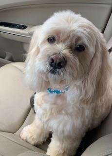 Essex Tower Condo - Residential Lease