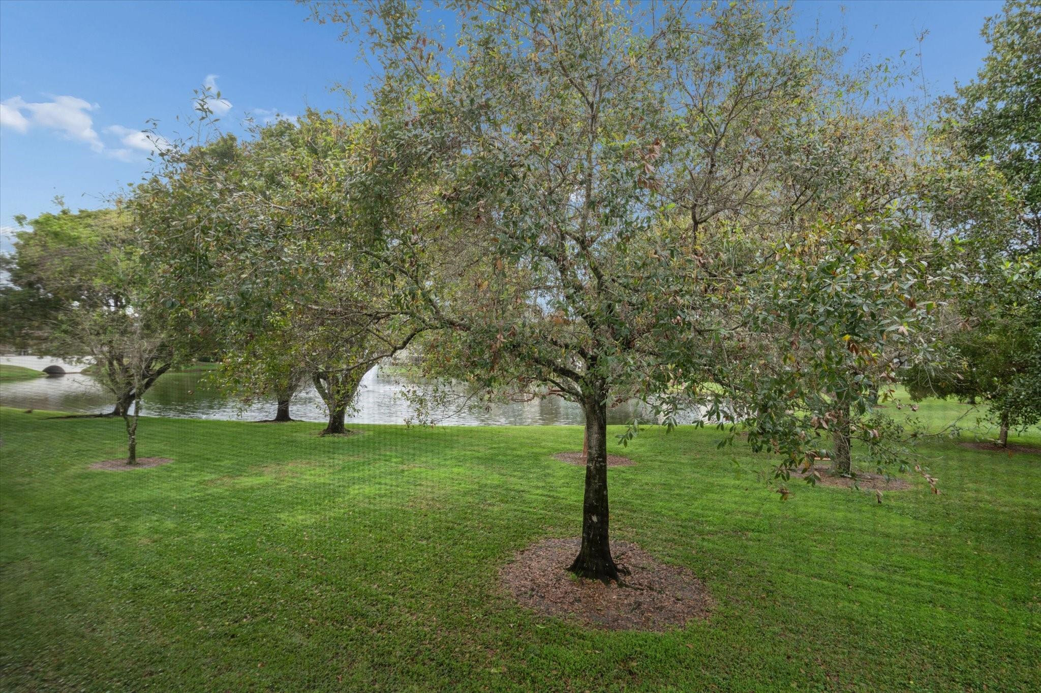 WYNMOOR/LUCAYA VILLAGE - Residential