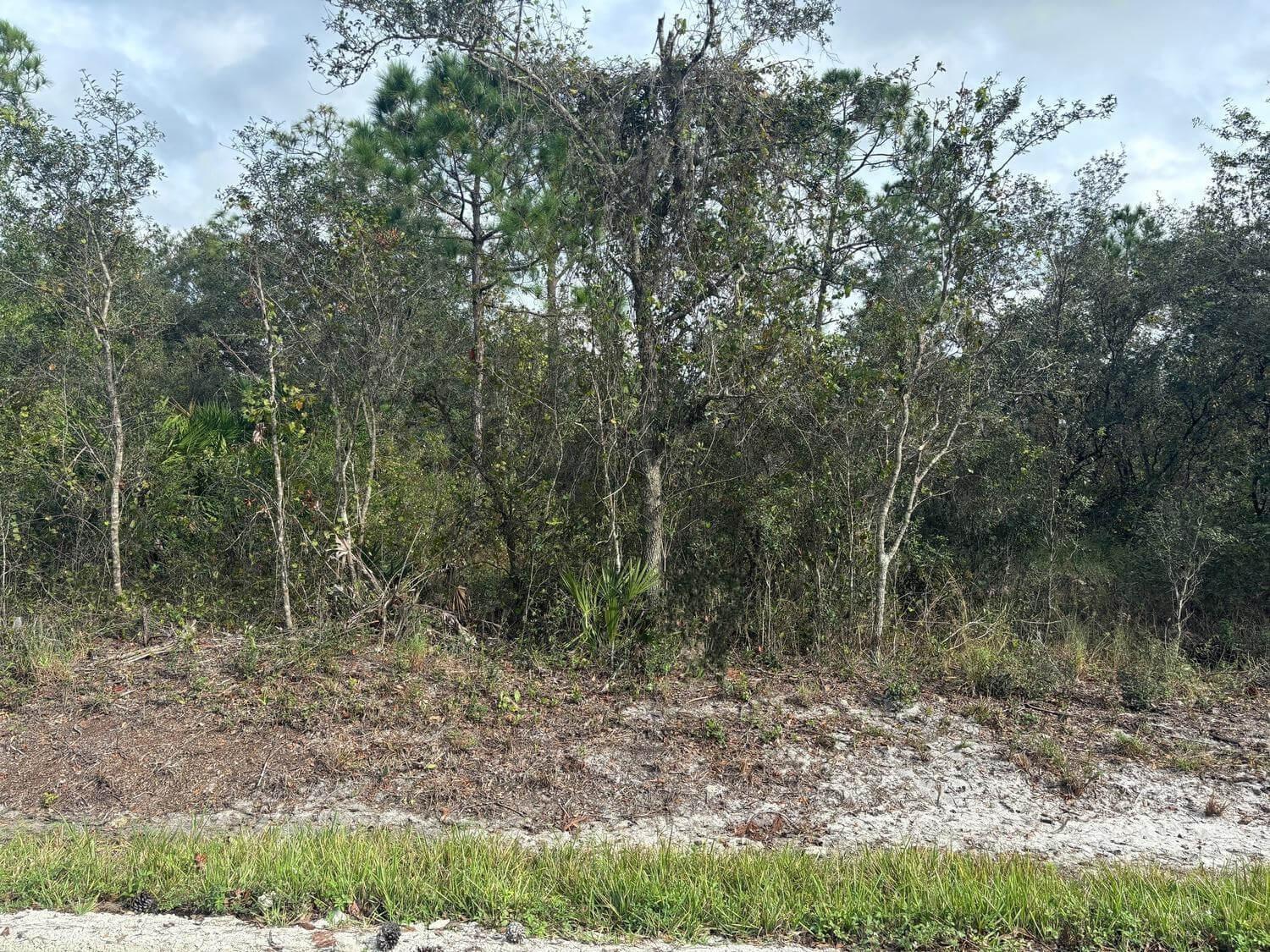 Owner financing Available only $1,500 down
Build your dream home in Avon Park, FL. Near shops, school and much more. Corner property on paved Rd