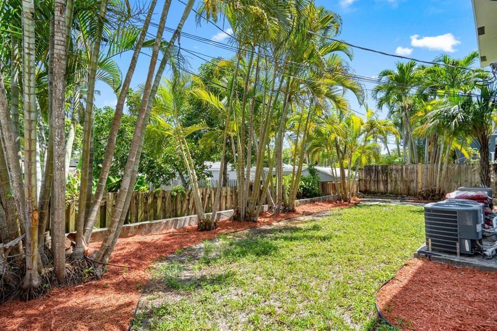 Petite - Residential Lease