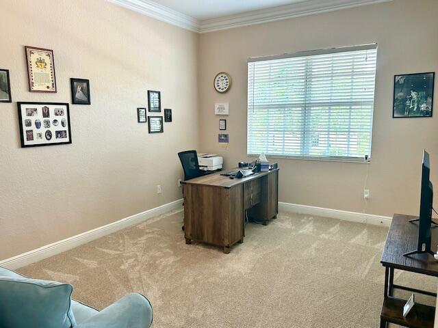 BAYWINDS - Residential