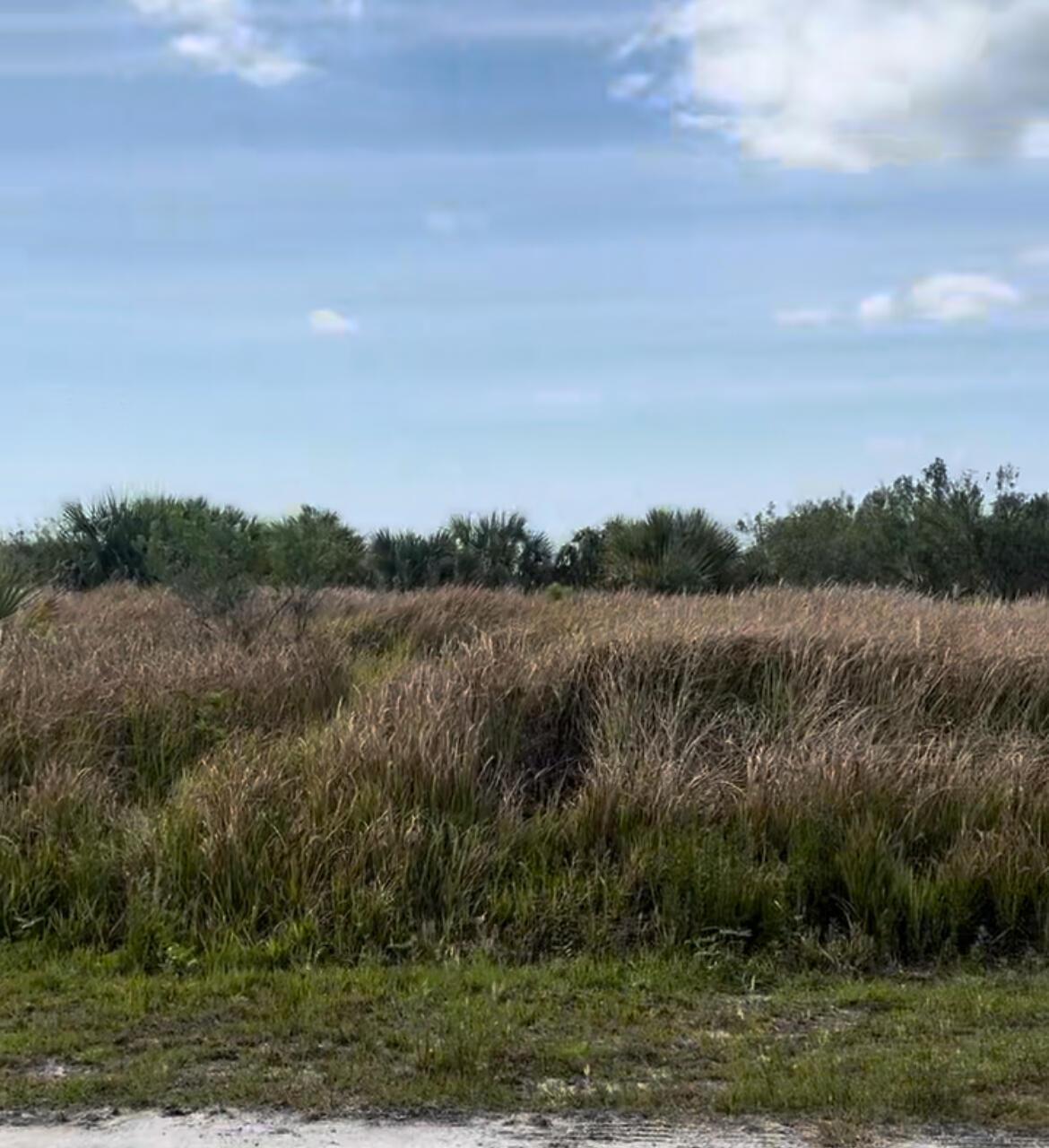 ! Don't miss out! Great investment opportunity, residential lot SqFt 10,019. About 12 to 15 minutes drive to stores, Publix and restaurants.