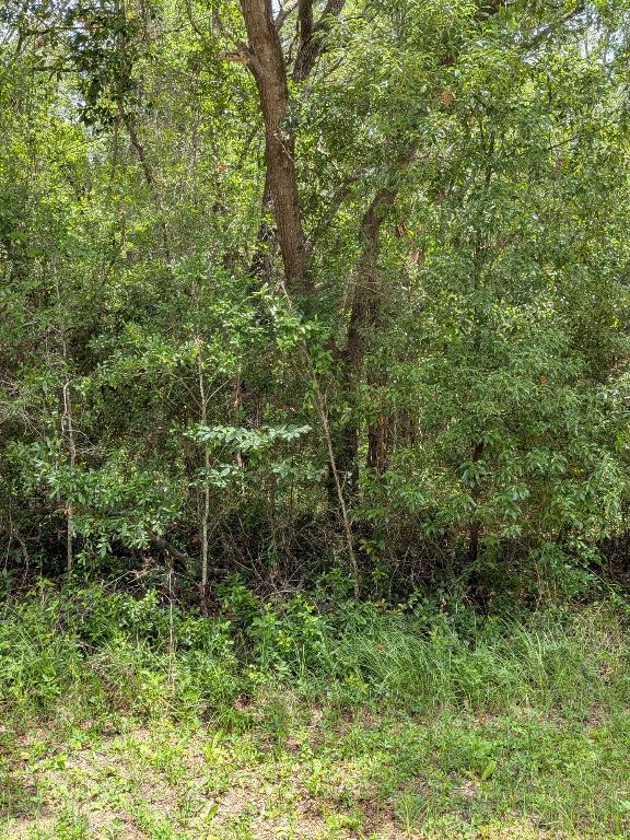 CITRUS SPRINGS UNIT 04 - Land