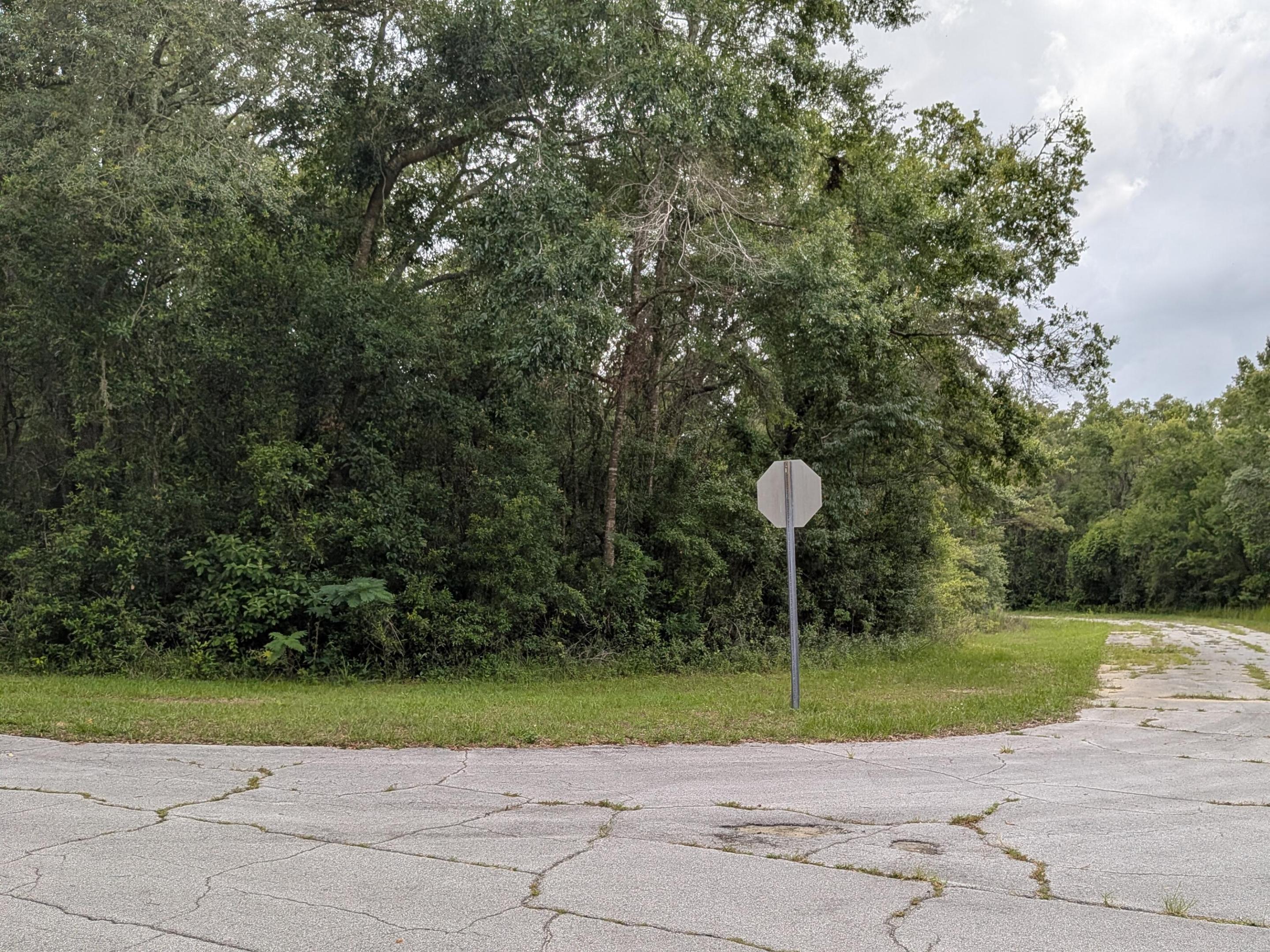 CITRUS SPRINGS UNIT 04 - Land