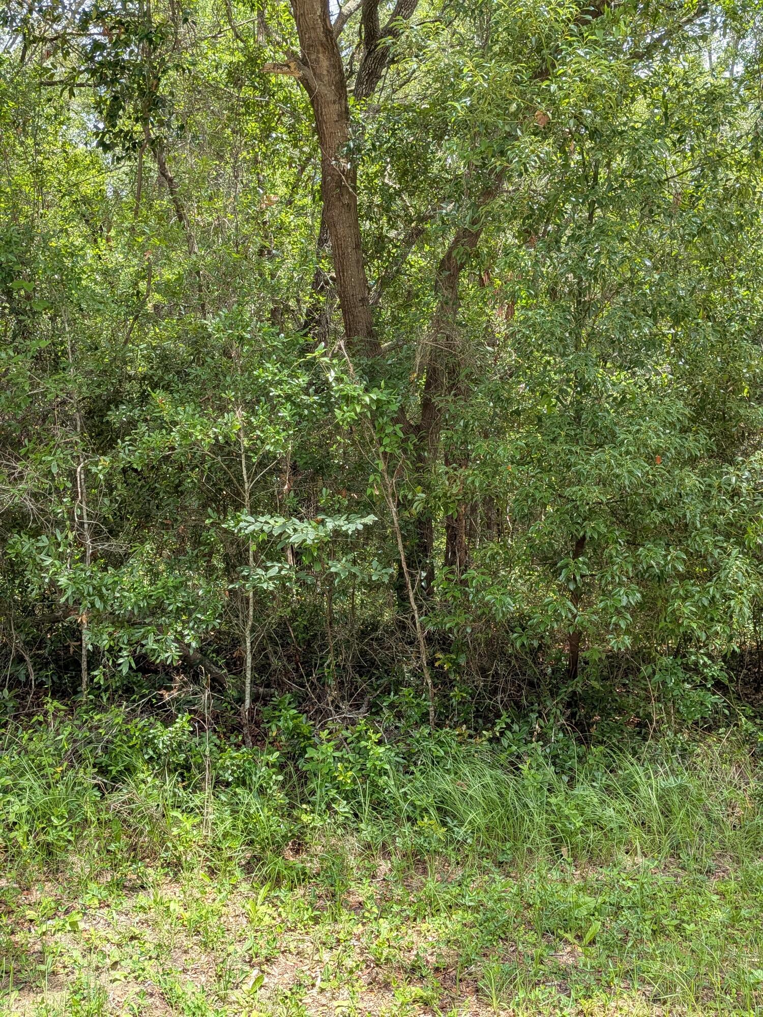 CITRUS SPRINGS UNIT 04 - Land