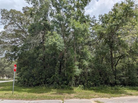 8989 N Conch Ter Terrace Citrus Springs FL 34434