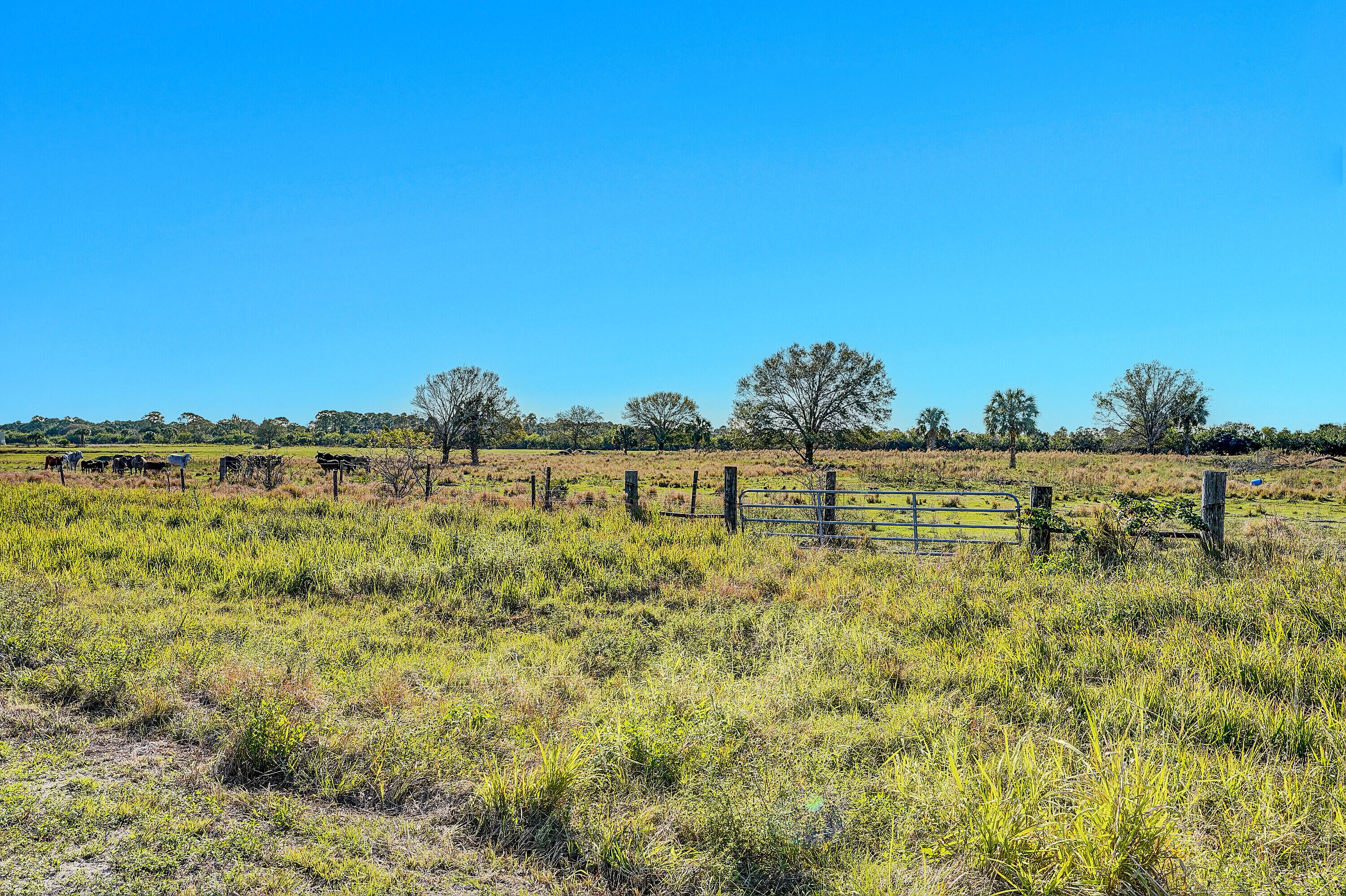 INDIAN RIVER ACRES (A OF - Land
