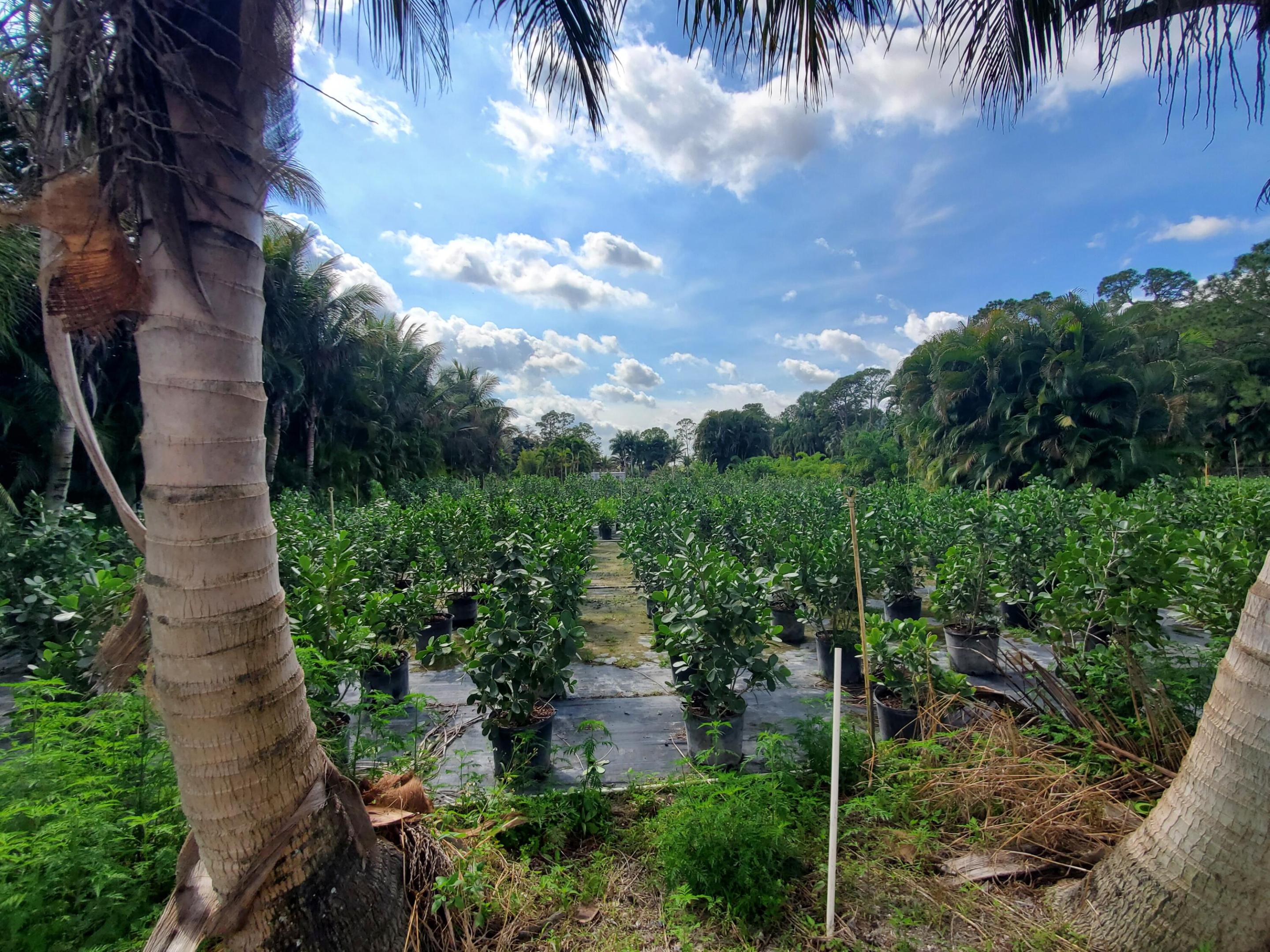 Heritage Farms - Land