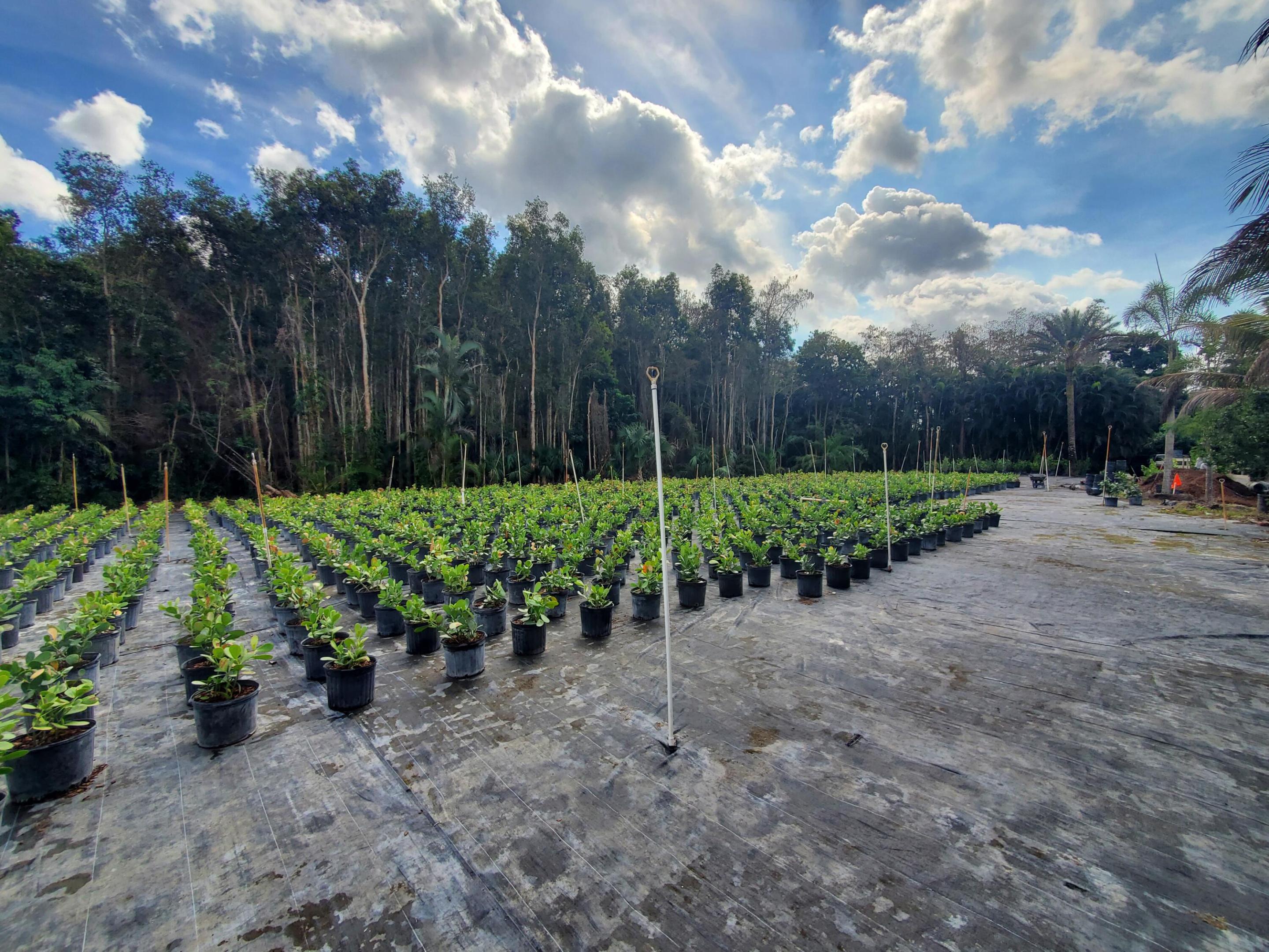 Heritage Farms - Land