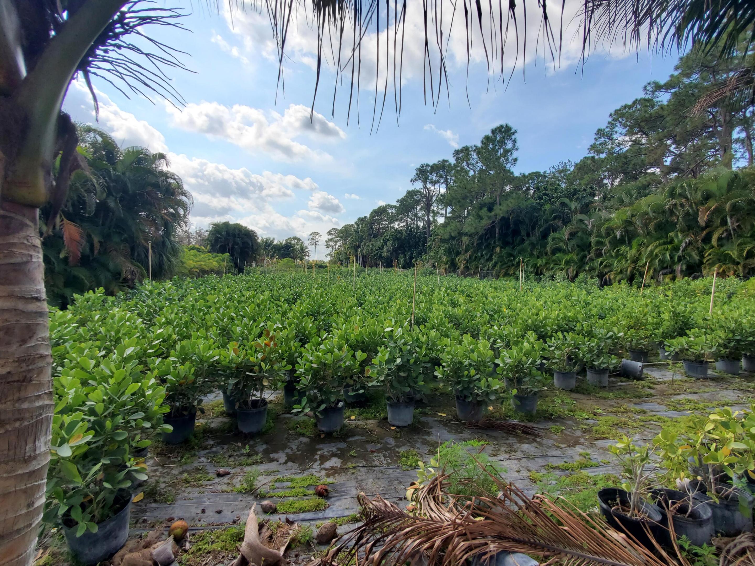 Heritage Farms - Land