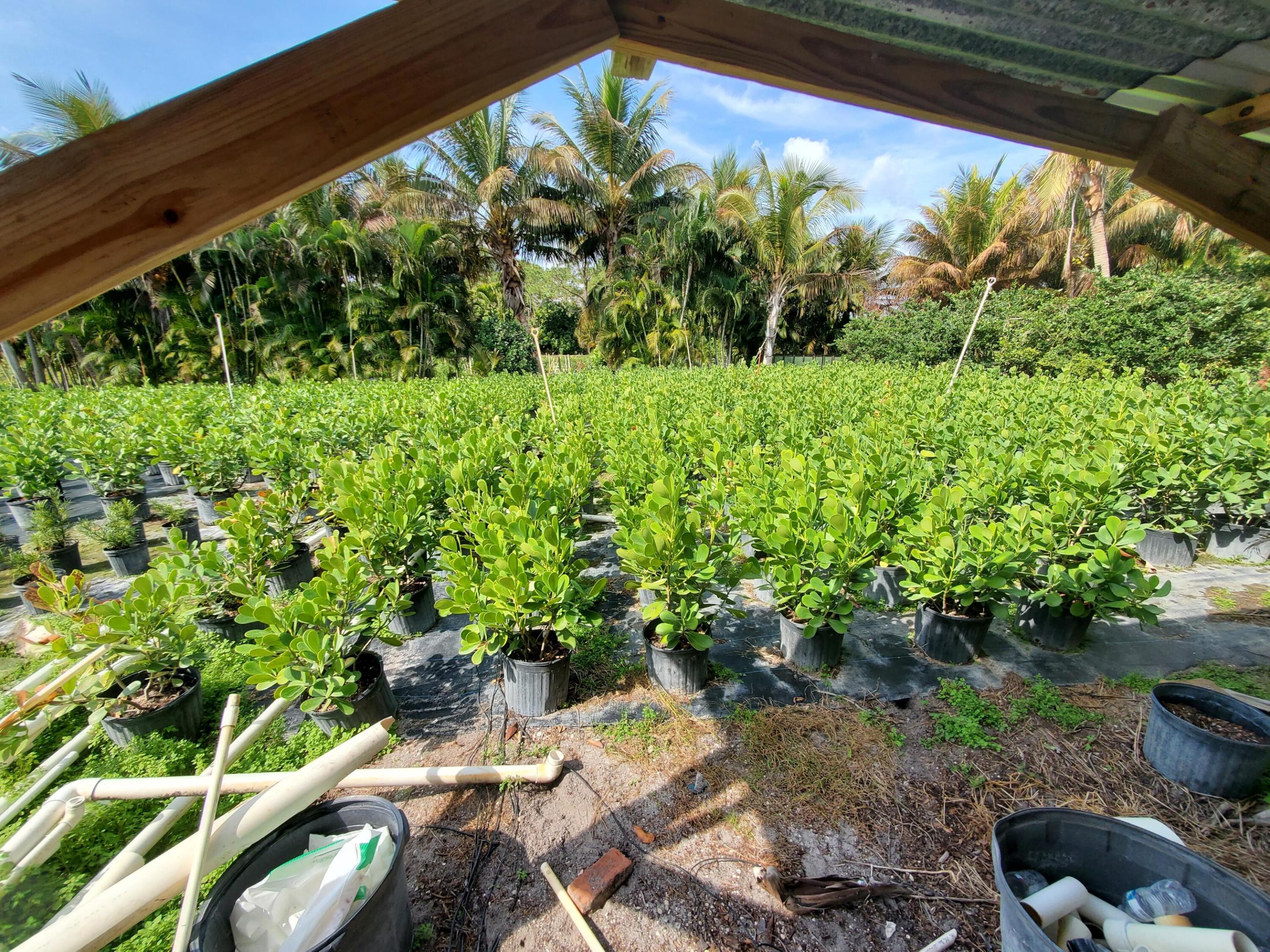 Heritage Farms - Land