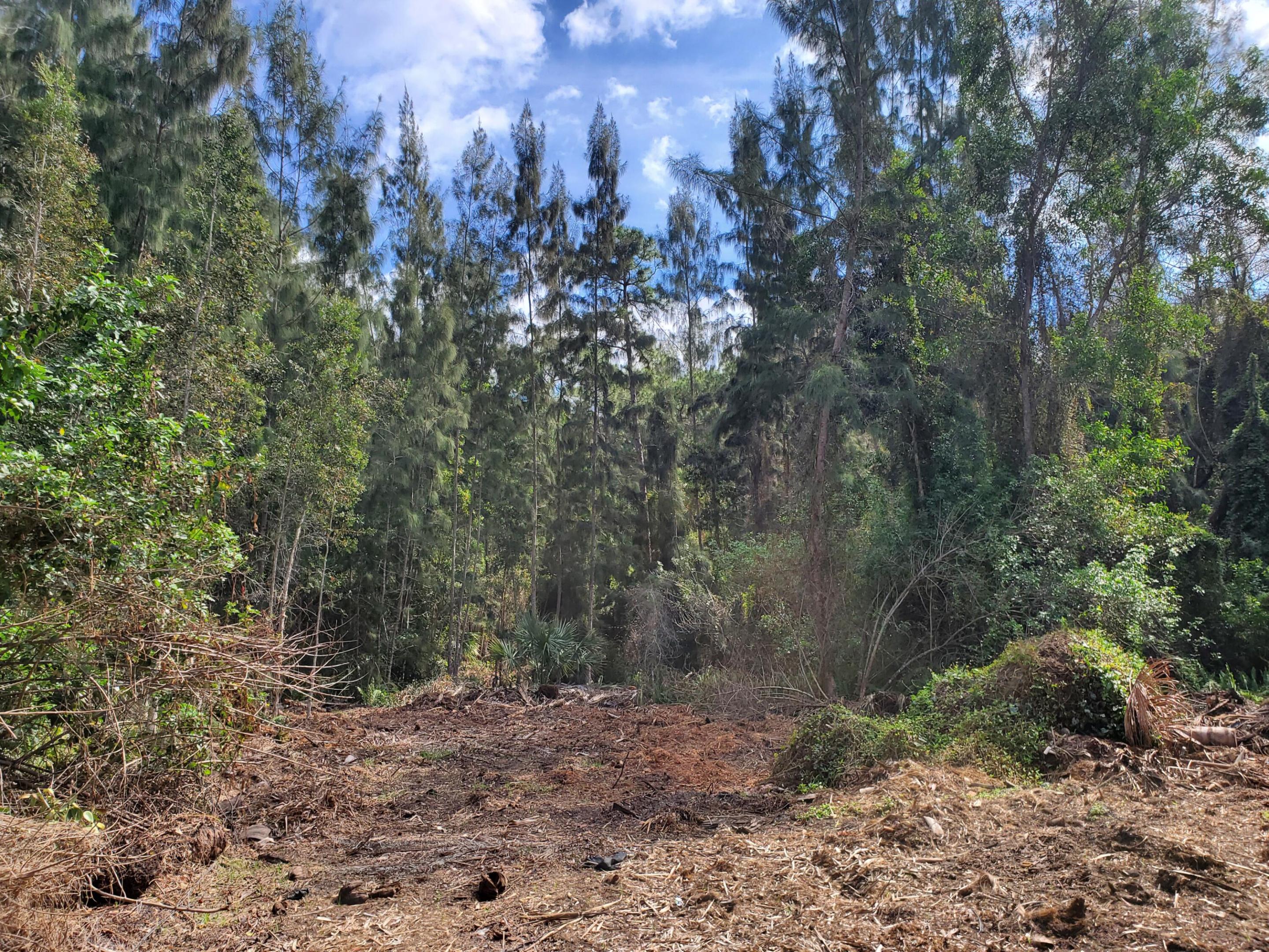 Heritage Farms - Land