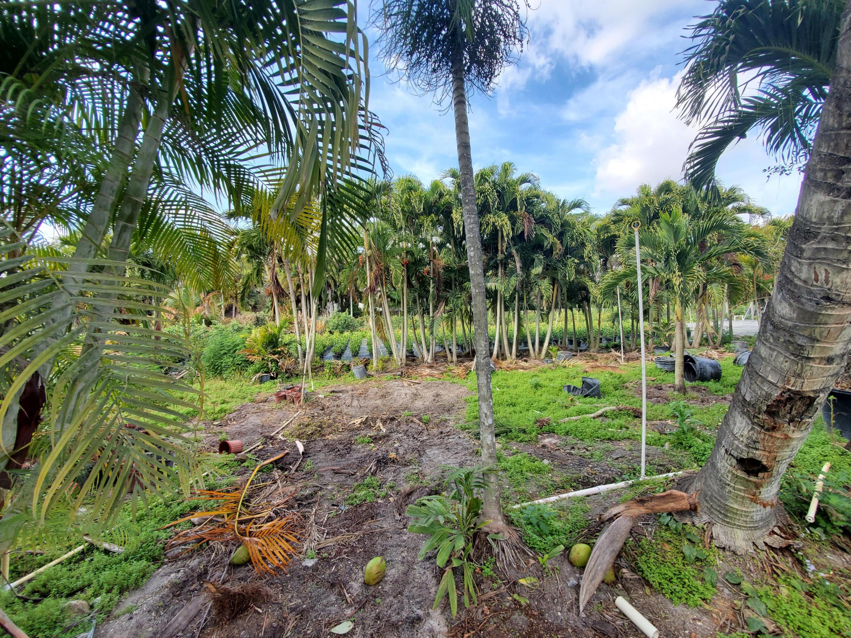 Heritage Farms - Land