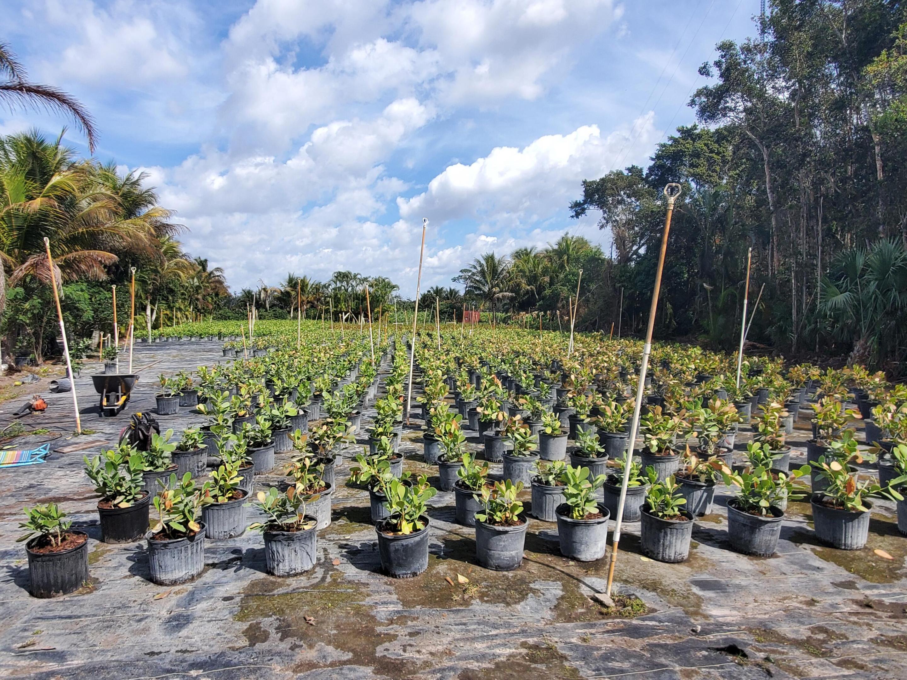 10655..5 61st Street S