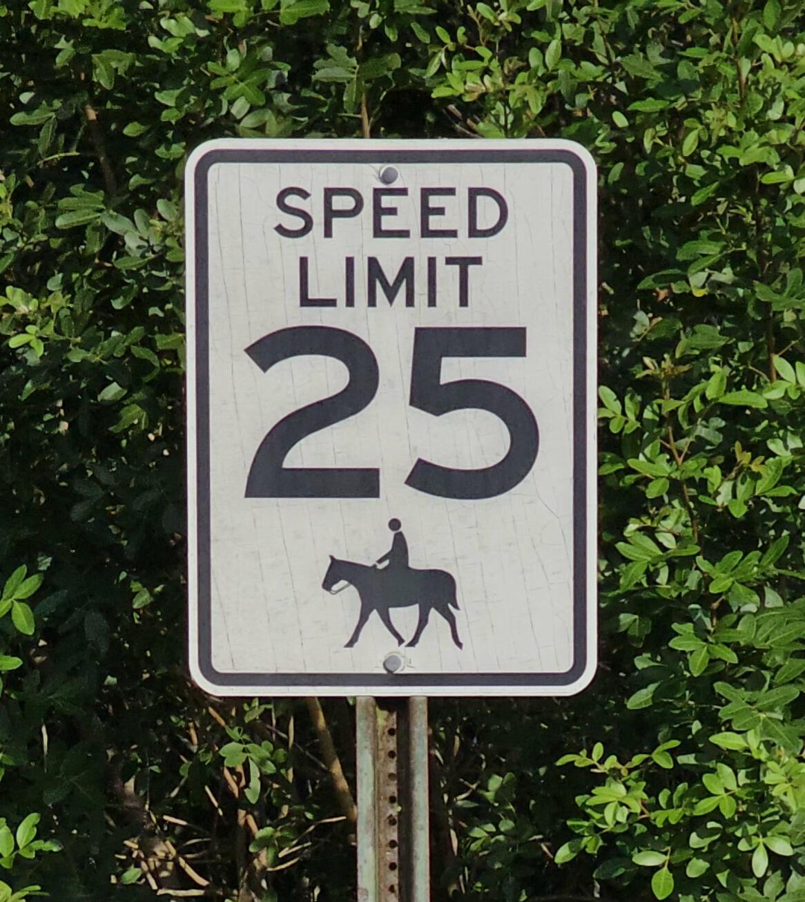 WHITE FENCES EQUESTRIAN E - Land