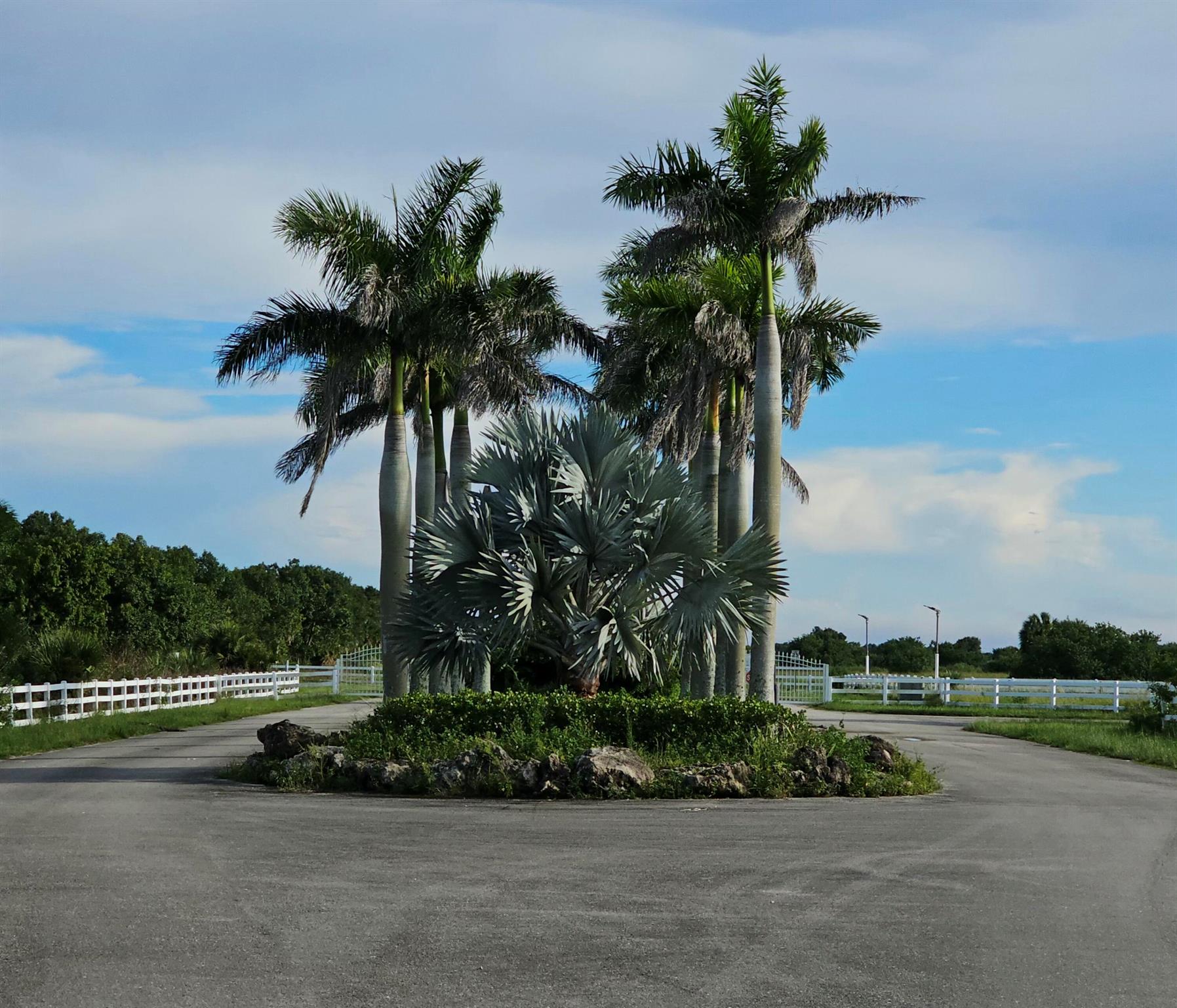 WHITE FENCES EQUESTRIAN E - Land