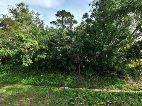 A home in Port Saint Lucie