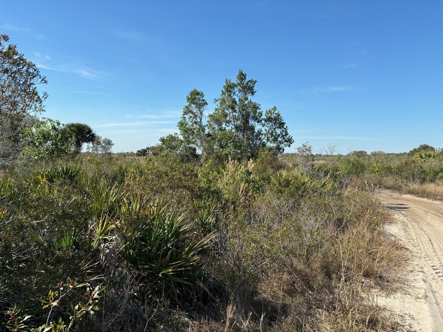 VK261 Viking Estates - Land