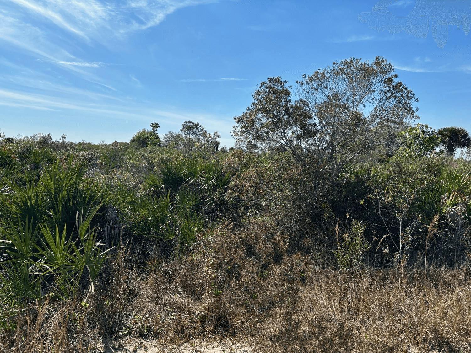 2.5 acre agricultural/recreational lot in Okeechobee. On the perimeter road! This property is also subdividable into two 1.25 acre properties now or in the future.
Owner finance available