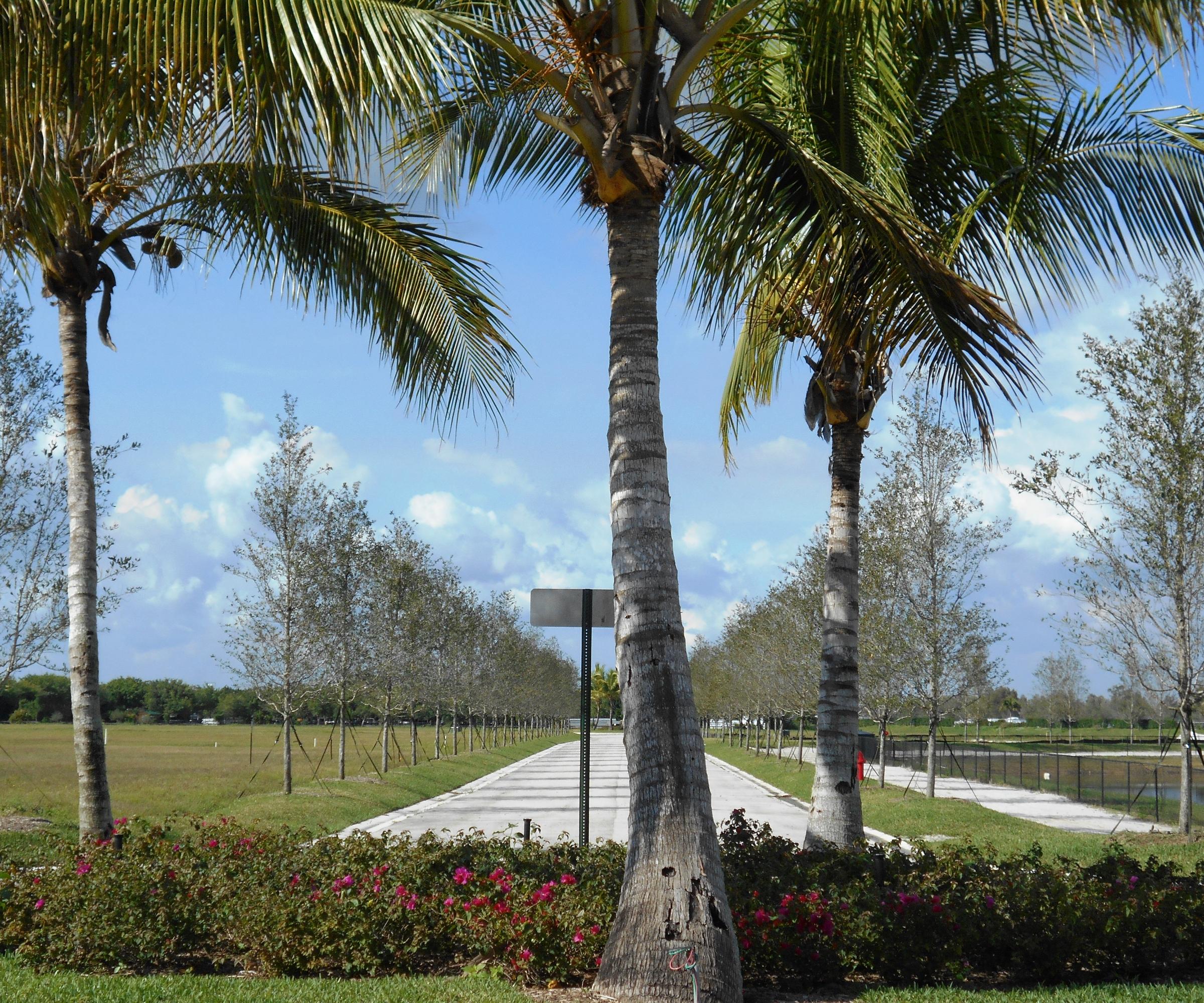 SADDLE CLUB OF WELLINGTON - Residential