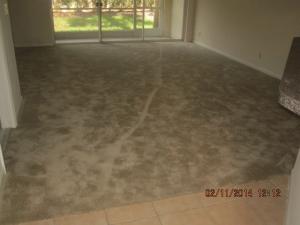 Palmbrooke Townhomes - Residential