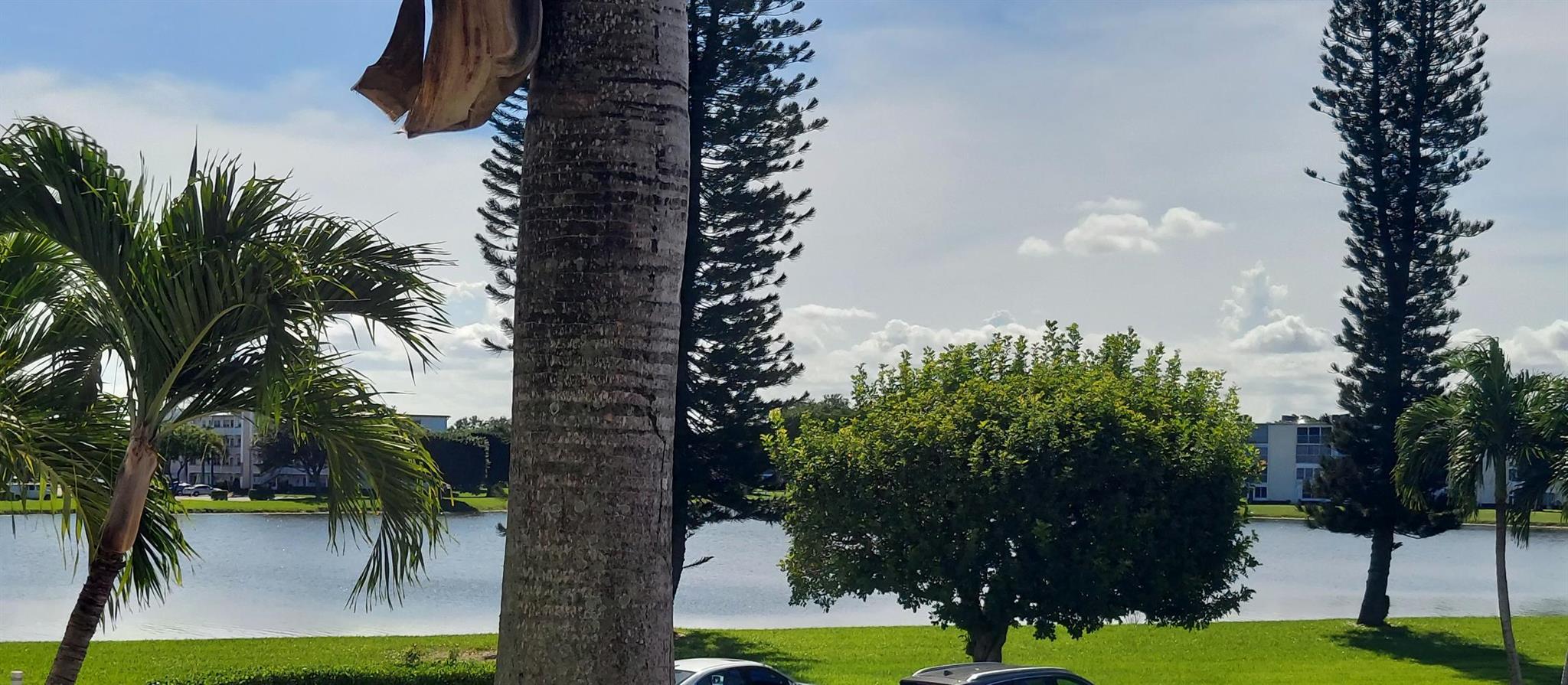 YARMOUTH AT CENTURY VILLA - Residential Lease