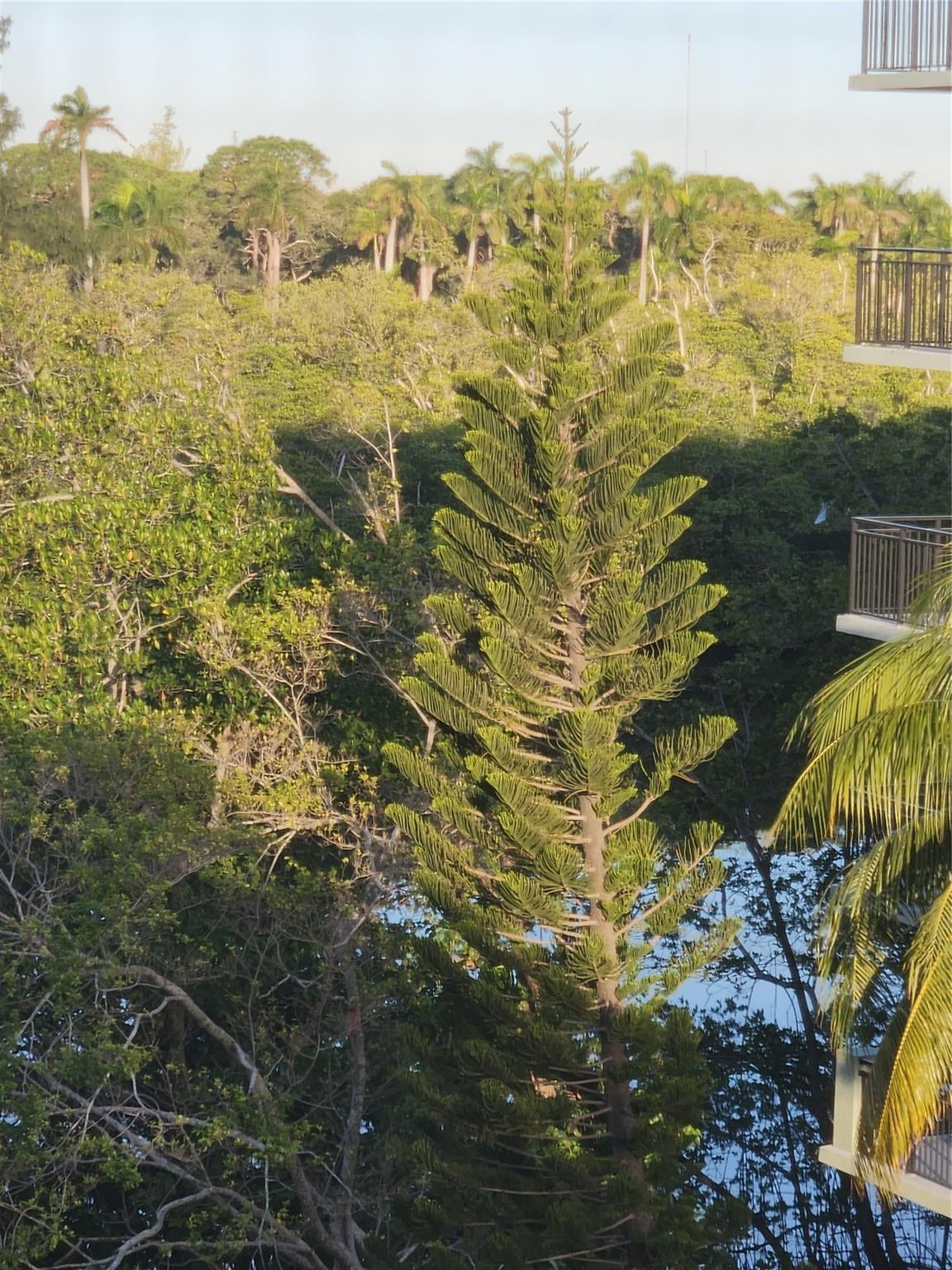 Greynolds Park Club Condo - Residential Lease