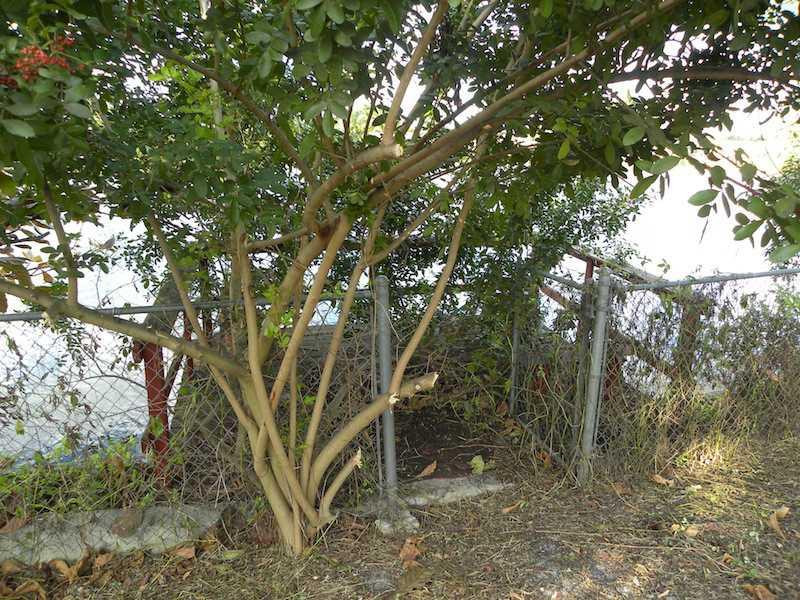 PALM AIRE VILLAGE - Residential