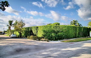 LEWIS SHORE ESTATES LA VISTA ADDN 1 - Residential