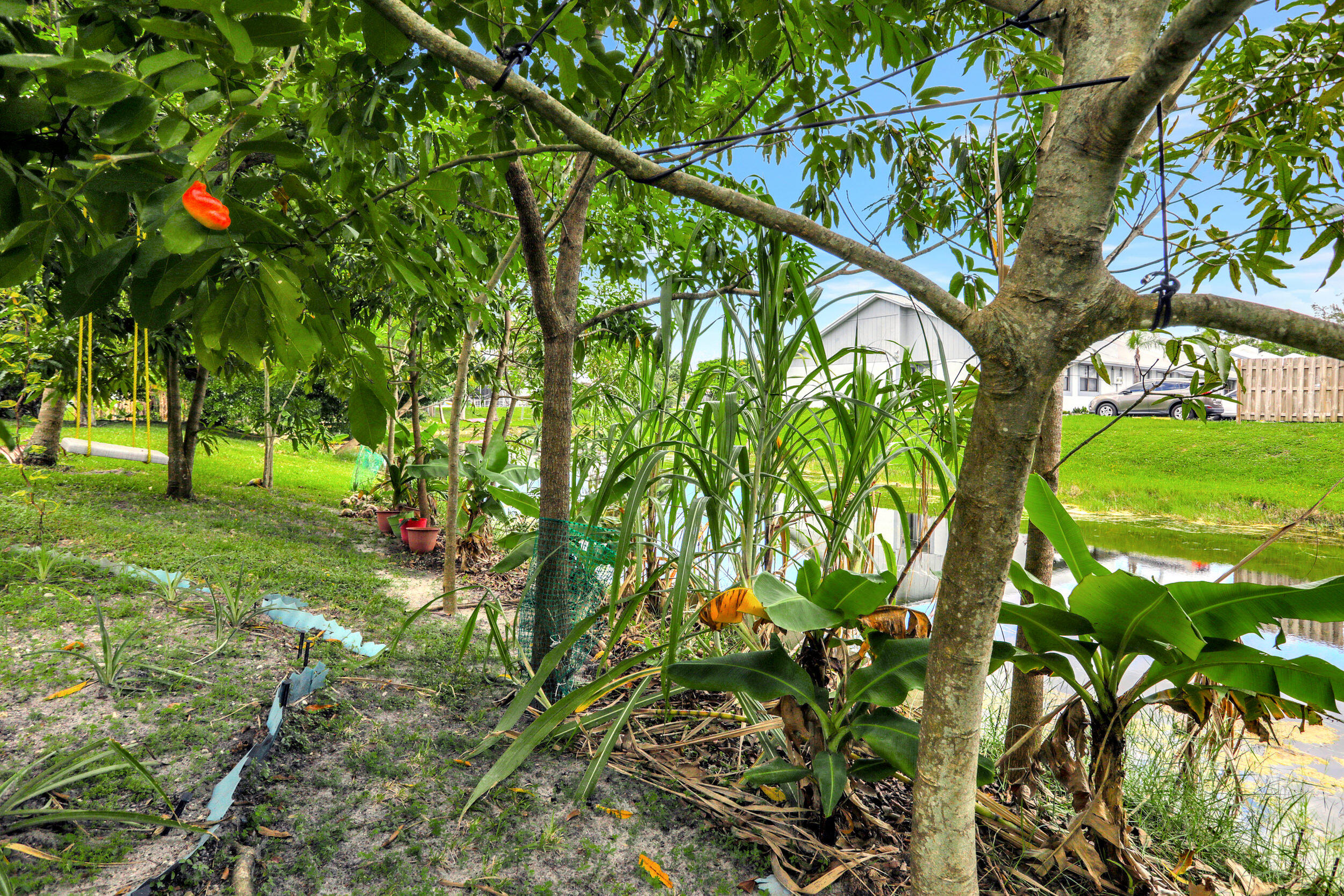 Isle of Margate - Residential