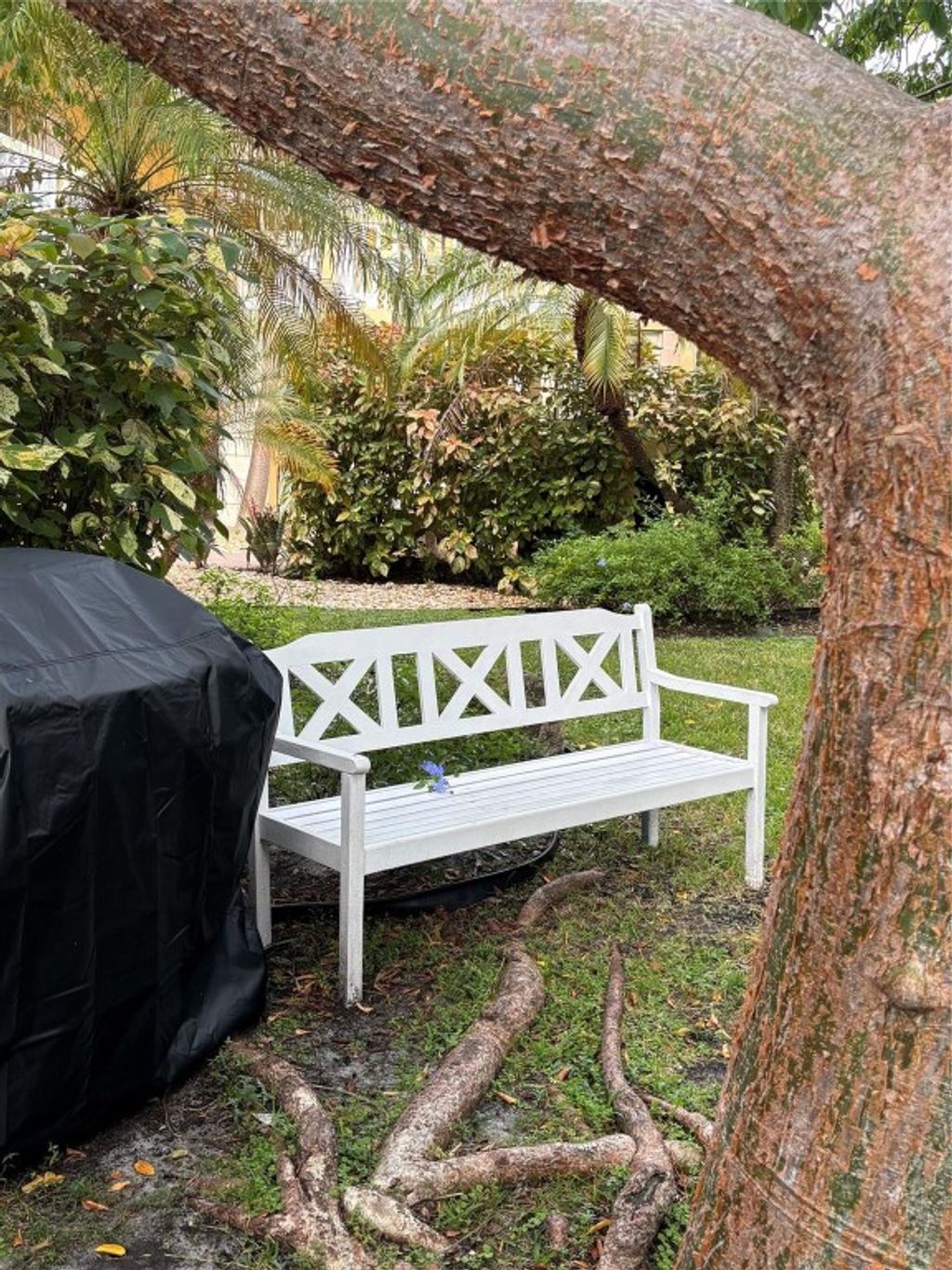 Photo of 811 NE 14th Place #6, Fort Lauderdale, FL 33304 (MLS # F10546416)