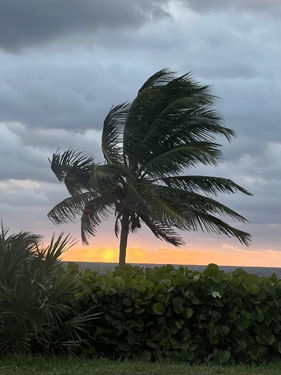 San Remo - Residential Lease