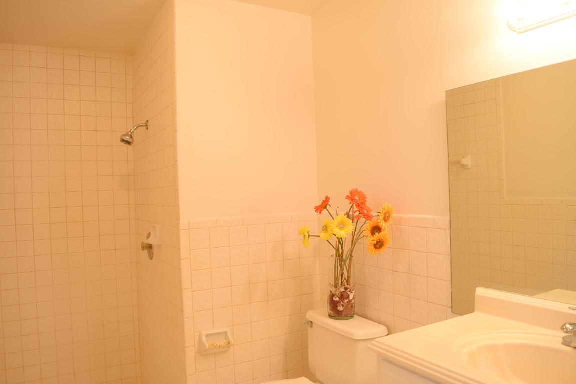 SPRINGTREE LAKES WEST III - Residential