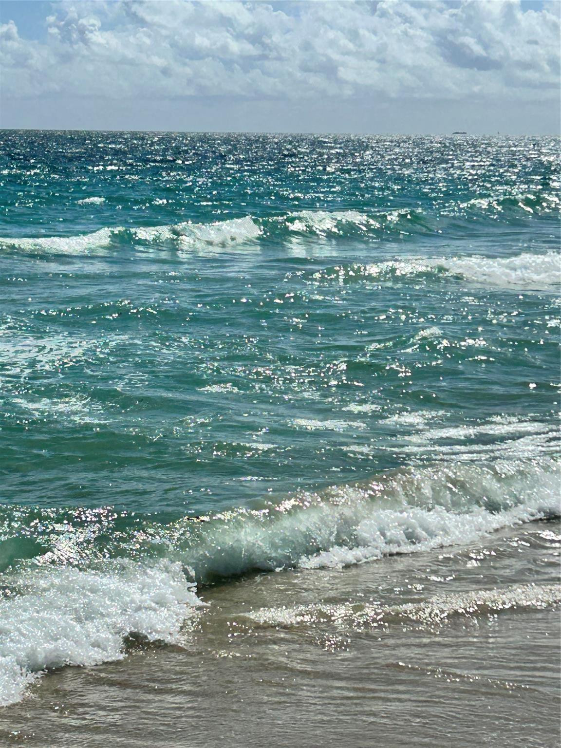 Galt Towers Condo - Residential Lease