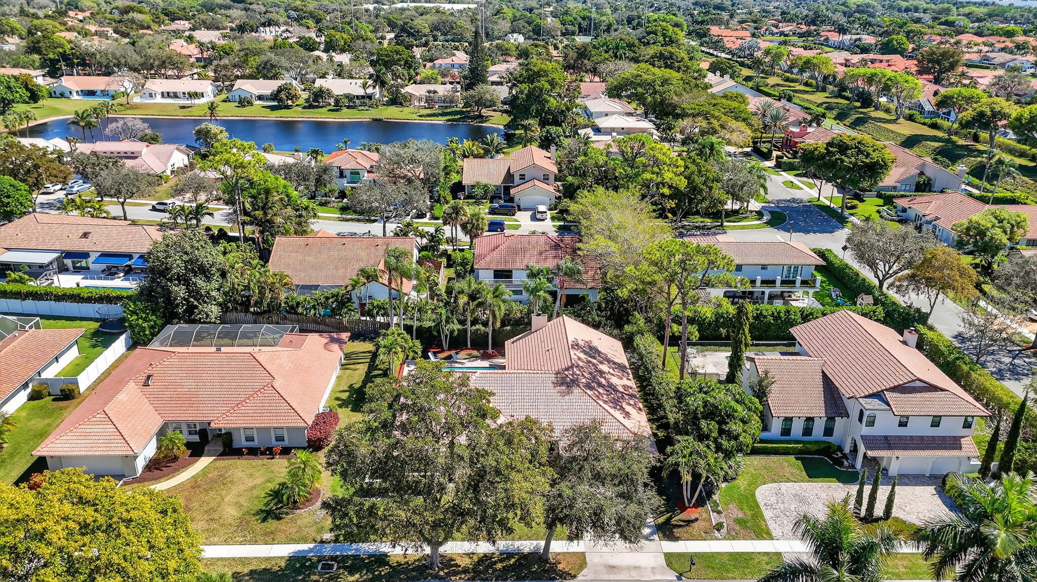 New Floresta - Residential